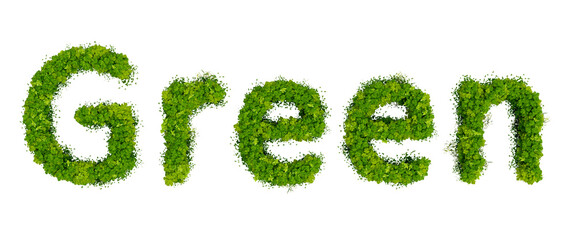 word Green made of green grass and flowers isolated on transparent background