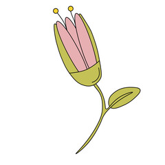 illustration of a flower on a transparent background