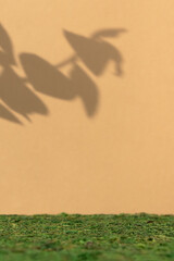 Premium empty scene on green moss on beige background with leaves shadows. Podium for product...