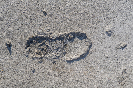 The footprint of a shoe on a gray background of cracked cement interspersed with grains of sand, streaks.