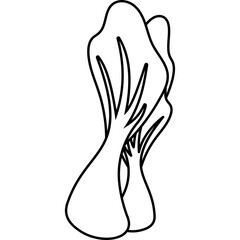 Chinese Cabbage Icon