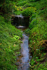 Waterfall in English country garden in spring
