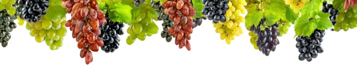  grape bunches of different varieties with leaves hanging on a white background