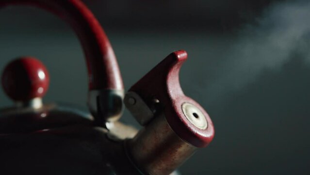 A close-up of the steam coming out of the spout of a boiling metal kettle.