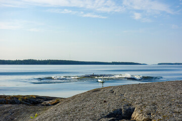 Ship's waves on a calm summer morning