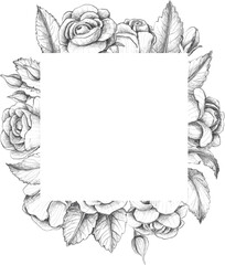 Frame of roses in sketch style