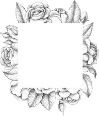 Frame of roses in sketch style