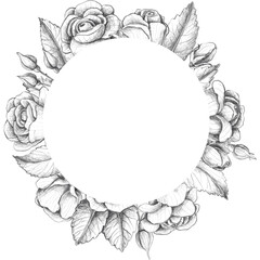 Frame of roses in sketch style