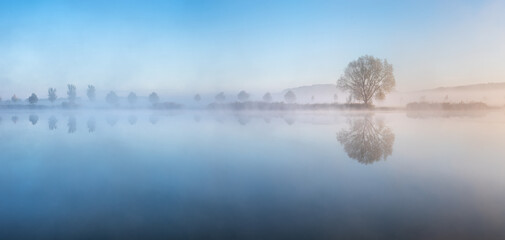 Willow Tree by Lake with morning fog at dawn