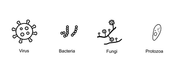 The classification of microorganism that Picture shows 4 types of Virus, Bacteria, Fungi, Protozoa in the concept of black icon.
