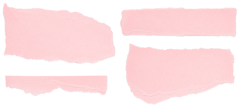 Set of isolated pink torn blank note paper strips, top view from above on white or transparent background
