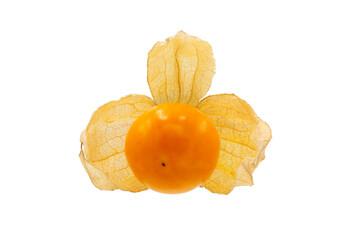Closeup of Cape gooseberry, physalis with isolated on transparent background, clipping path, PNG
