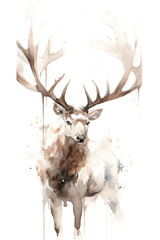 Watercolor Caribou On Only White Background Minimalist Color Splash And Dripping  Generative Ai Digital Illustration Part#130423