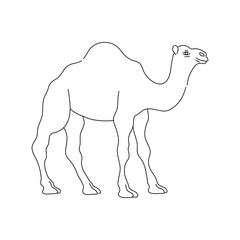 Outline camel icon. Hand drawn vector illustration.