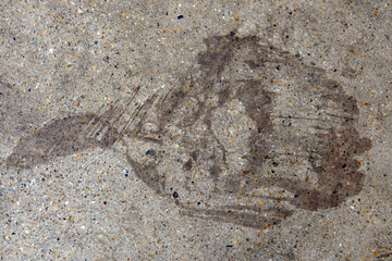 concrete wall texture