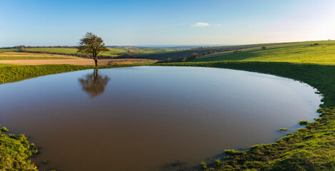 Evening golden hour at Ditchling Beacon dew pond on the south downs way East Sussex south east...
