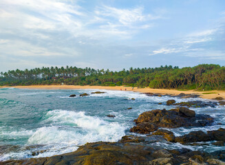 Beautiful tropical landscape on the ocean shore of Sri Lanka. Photography for tourism background, design and advertising.