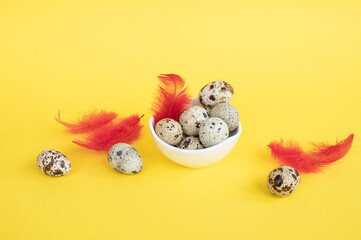 Quail Easter eggs with feathers lie in a white plate on a yellow background with red feathers,