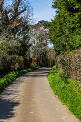 Fototapeta na wymiar A road in the Sussex countryside in springtime