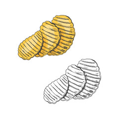 Vector colored and monochrome  sketch set of potato chips, crisps. Eco food vintage vector illustration.  Great for menu, poster or restaurant background.