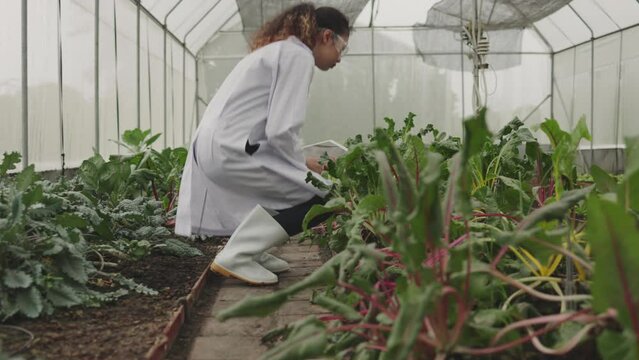 Asian female Plant Disease Biology walk inspects planting plots