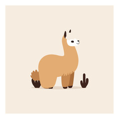 Llama cartoon alpaca. Lama animal vector isolated illustration. Cute funny . Design for card, sticker , fabric textile, t shirt. Children, kid modern trendy style