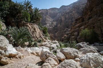 Wadi Shaab, nature of Oman