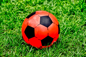 Fototapeta premium red rubber ball in lush green grass. black pentagon shape pattern. closeup view. play, sport, leisure and outdoors concept. bright green lawn. playful composition. blurred background. selective focus.