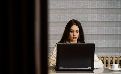 Young entrepreneur. The concept of working from home