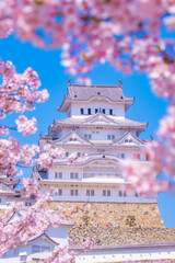 桜に包まれた姫路城