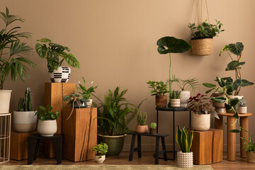 Warm composition of botanic living room interior with plants in flowerpotss, wooden stand, black...