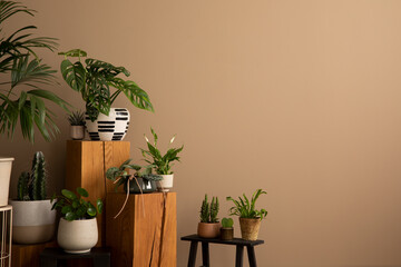 Stylish composition of living room interior with copy space, plants in flowerpots, black stool, wooden stand and personal accessories. Home decor. Template.