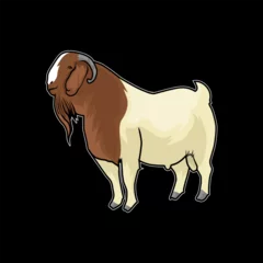Fotobehang Vector Stock Boer Goat Design Illustration © Mantralussion