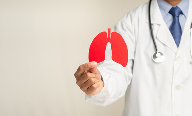 Doctor holding a lung shape symbol while standing in the hospital