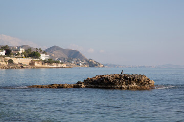 Gannet Bird on Rock with Landscape View; Almadrava Beach; El Campello; Alicante; Spain - 592233285