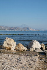 Rocks and Gannets on El Campello Beach, Alicante; Spain