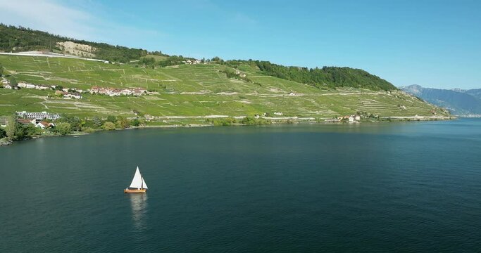 aerial view of the terraced vineyards in switzerland