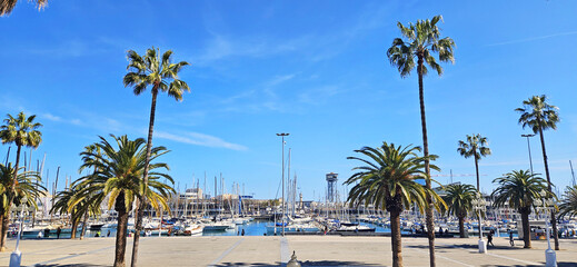 view of the city port with yachts, palm trees, blue sky, sunny day. Barcelona, Spain 