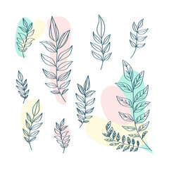 Flat design of linear leaves and flowers