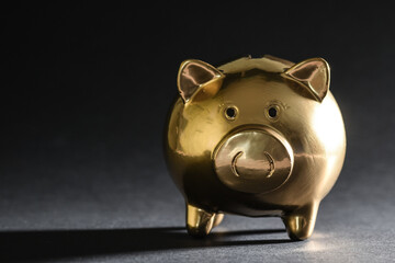 tirelire or cochon porcelet affaires business economie argent prix cout