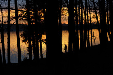 Person standing near the lake in the light of sunset surrounded by trees. Negative space photo