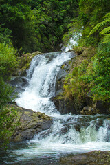 Beautiful cascade waterfall hidden in a forest. Adventure and travel concept. Nature background. Kaiate Falls, Bay of Plenty, New Zealand