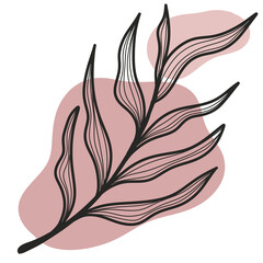 Line art leaf 