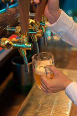 pouring draft beer into a beer mug