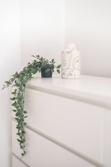 View of plant and figurine on white shelf in minimalistic setting