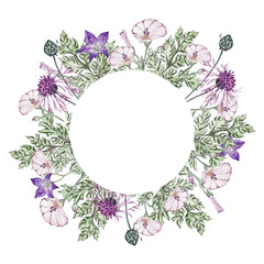 Summer wreath of wild flowers. Bluebell flower, cornflower, bindweed and carved leaves. Watercolor illustrations.