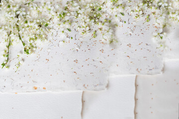 Białe tło z kwiatami wiosennymi, kwitnące gałązki i papier