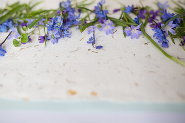 Tło z wiosennymi kwiatami w odcieniach błękitu i fioletu. Kwiaty na papierze czerpanym.