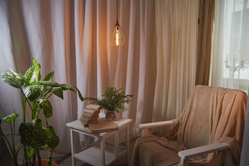 Living room with armchair, window, fabric curtains, home flower dieffenbachia and gentle light and lighting. Loft style in the interior. Background and location for photo shoot