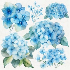 blue floral hydrangea clipart watercolor